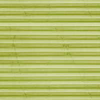 Image: MTP27.jpg