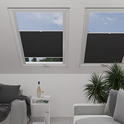 Image: MTMO75314-skylight.png