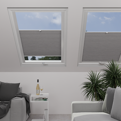 Image: MTMOBO275313-skylight.png