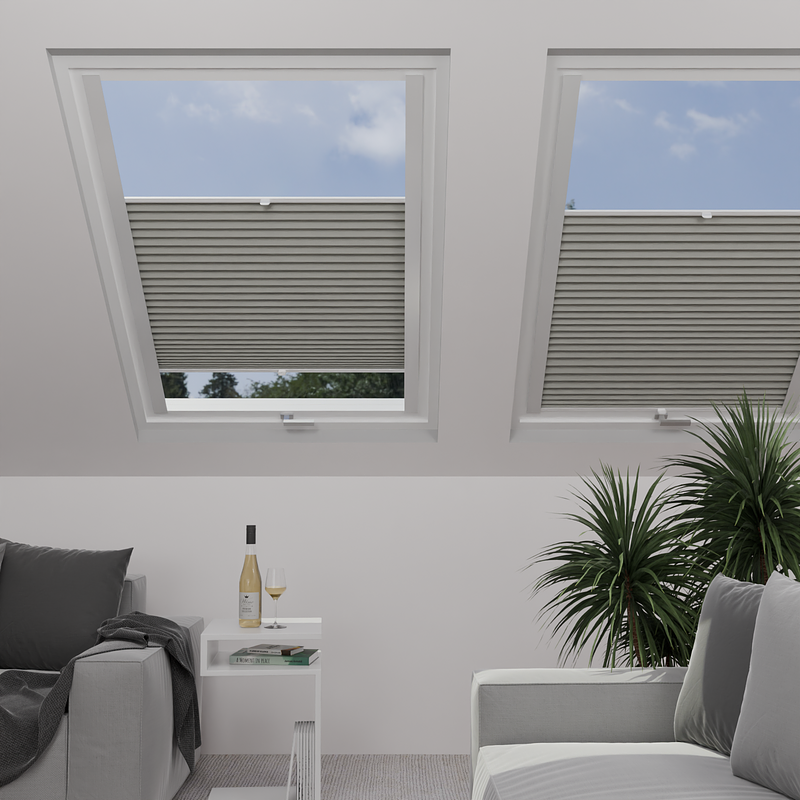Image: MTMOBO275307-skylight.png