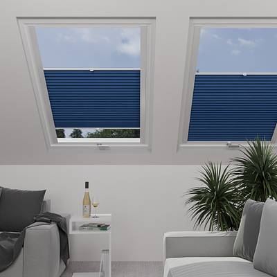 Image: MTP16-skylight.png