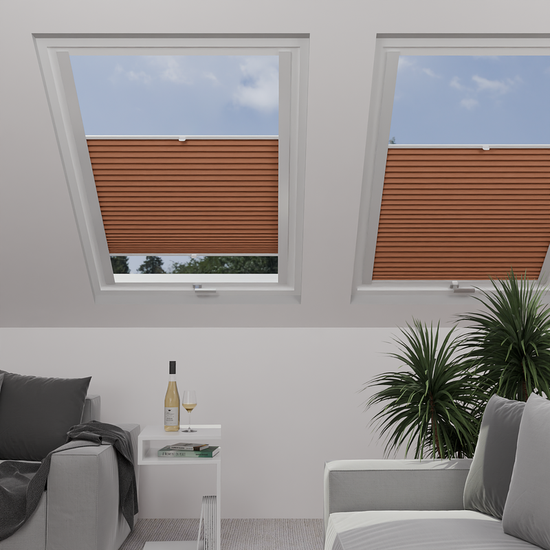 Image: MTCP218-skylight.png
