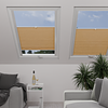 Image: MTCP223-skylight.png