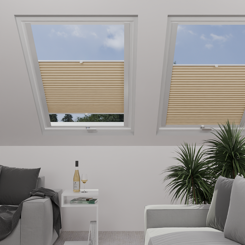Image: MTMO75302-skylight.png