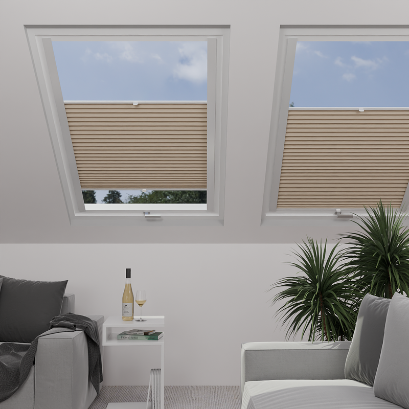 Image: MTMO75304-skylight.png