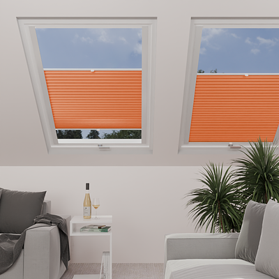 Image: MT1204-skylight.png