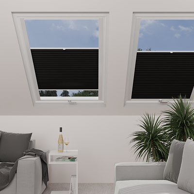 Image: MT1215-skylight.png