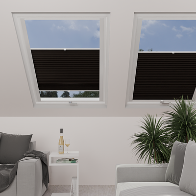 Image: MT1216-skylight.png
