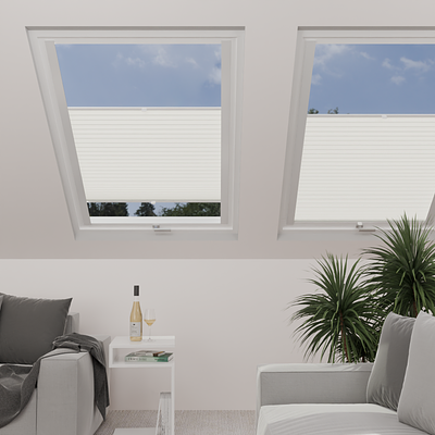 Image: MT1220-skylight.png