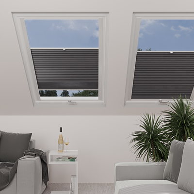Image: MT1217-skylight.png