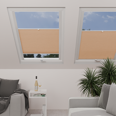 Image: MT1253-skylight.png