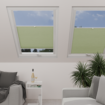 Image: MT1257-skylight.png