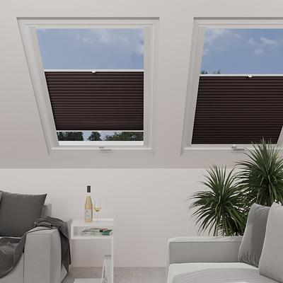 Image: MT1266-skylight.png
