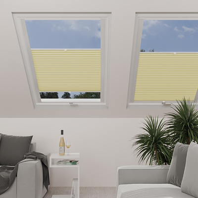 Image: MT1291-skylight.png