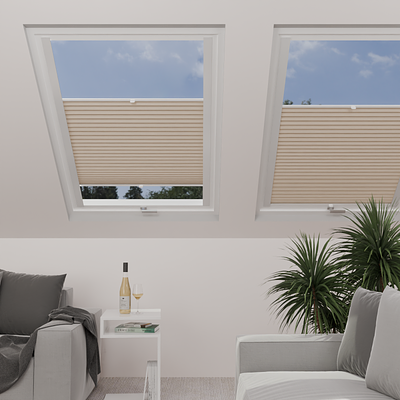 Image: MT1268-skylight.png