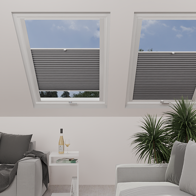 Image: MT1293-skylight.png