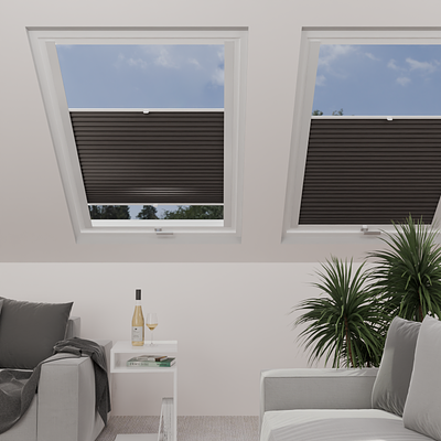 Image: MTP04-skylight.png