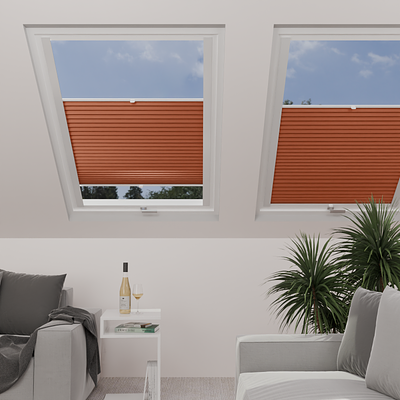 Image: MTP18-skylight.png