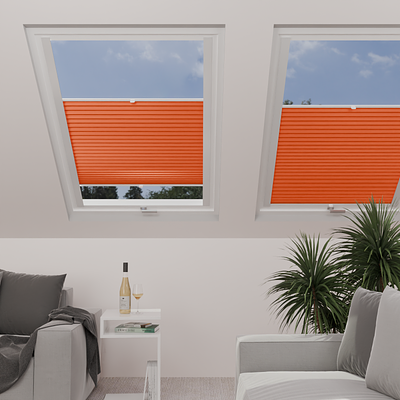 Image: MTP24-skylight.png