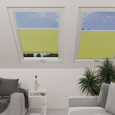 Image: MTP27-skylight.png
