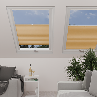Image: MTP05-skylight.png