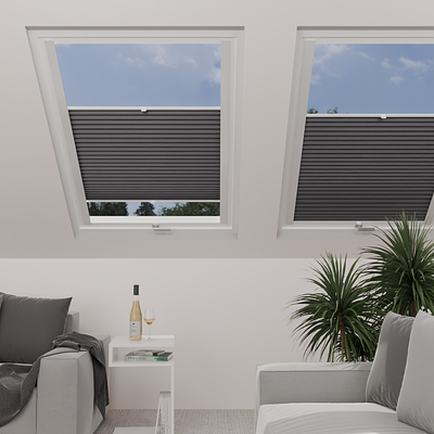 Image: MTCP204-skylight.png