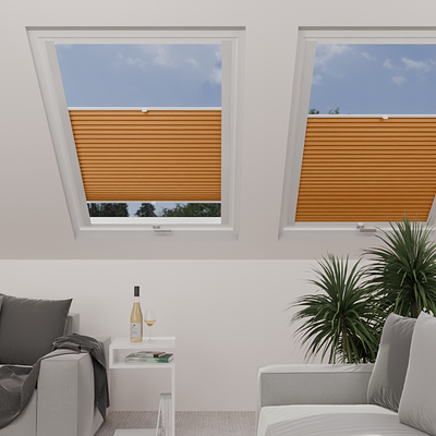 Image: MTCP222-skylight.png