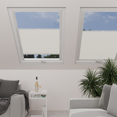 Image: MTCP220-skylight.png