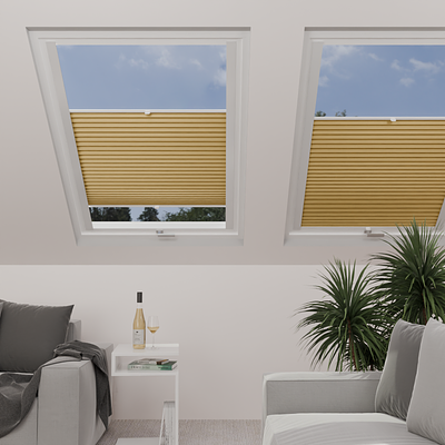 Image: MTCP219-skylight.png
