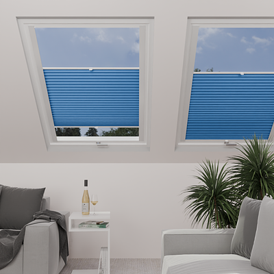 Image: MTCP216-skylight.png