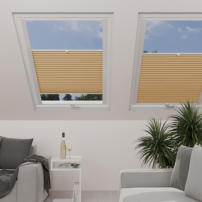 Image: MTCP205-skylight.png