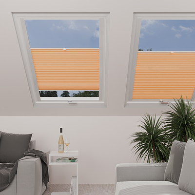 Image: MTCP223-skylight.png