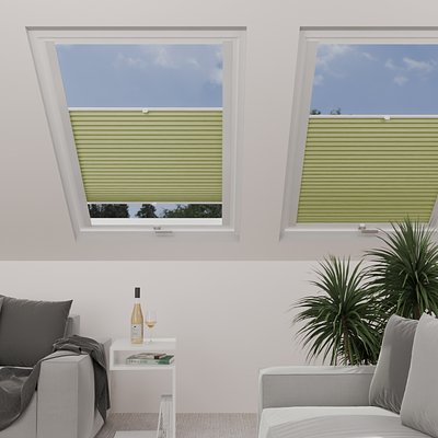 Image: MTCP228-skylight.png