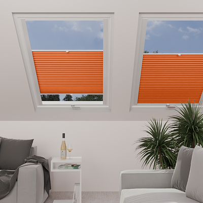 Image: MTCP224-skylight.png