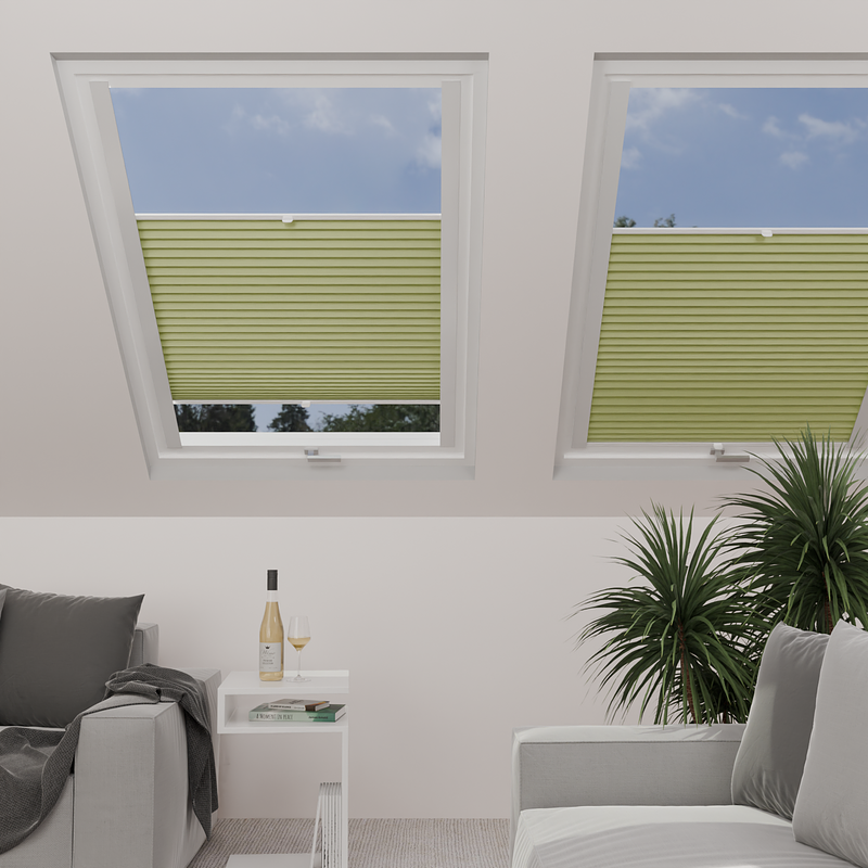 Image: MTCP228-skylight.png