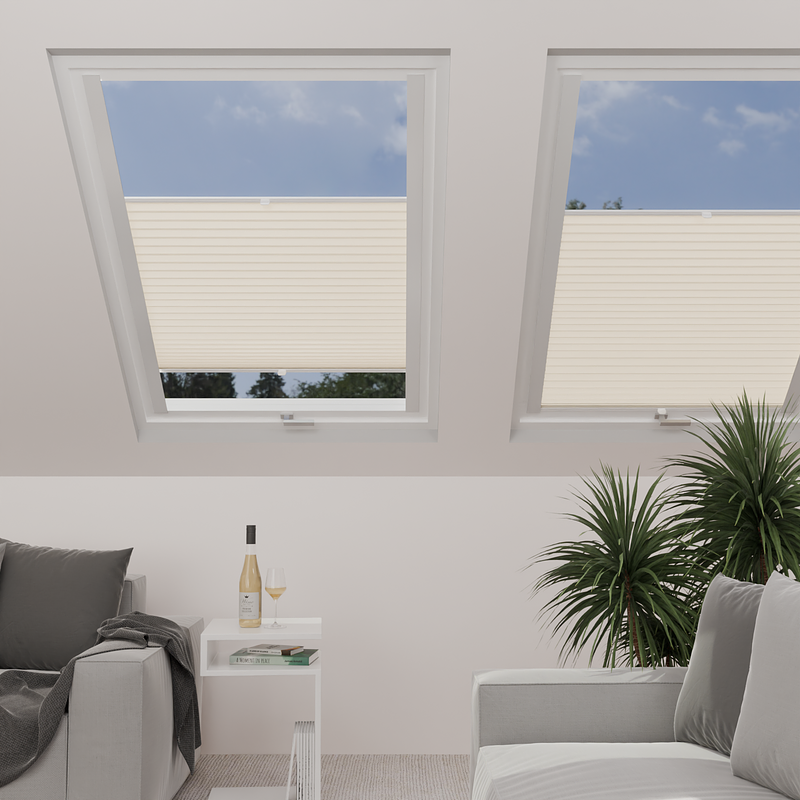 Image: MT1218-skylight.png