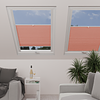 Image: MT1287-skylight.png